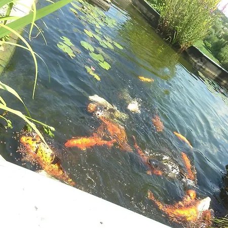 Koningswinkelhof Apartman Valkenburg aan de Geul